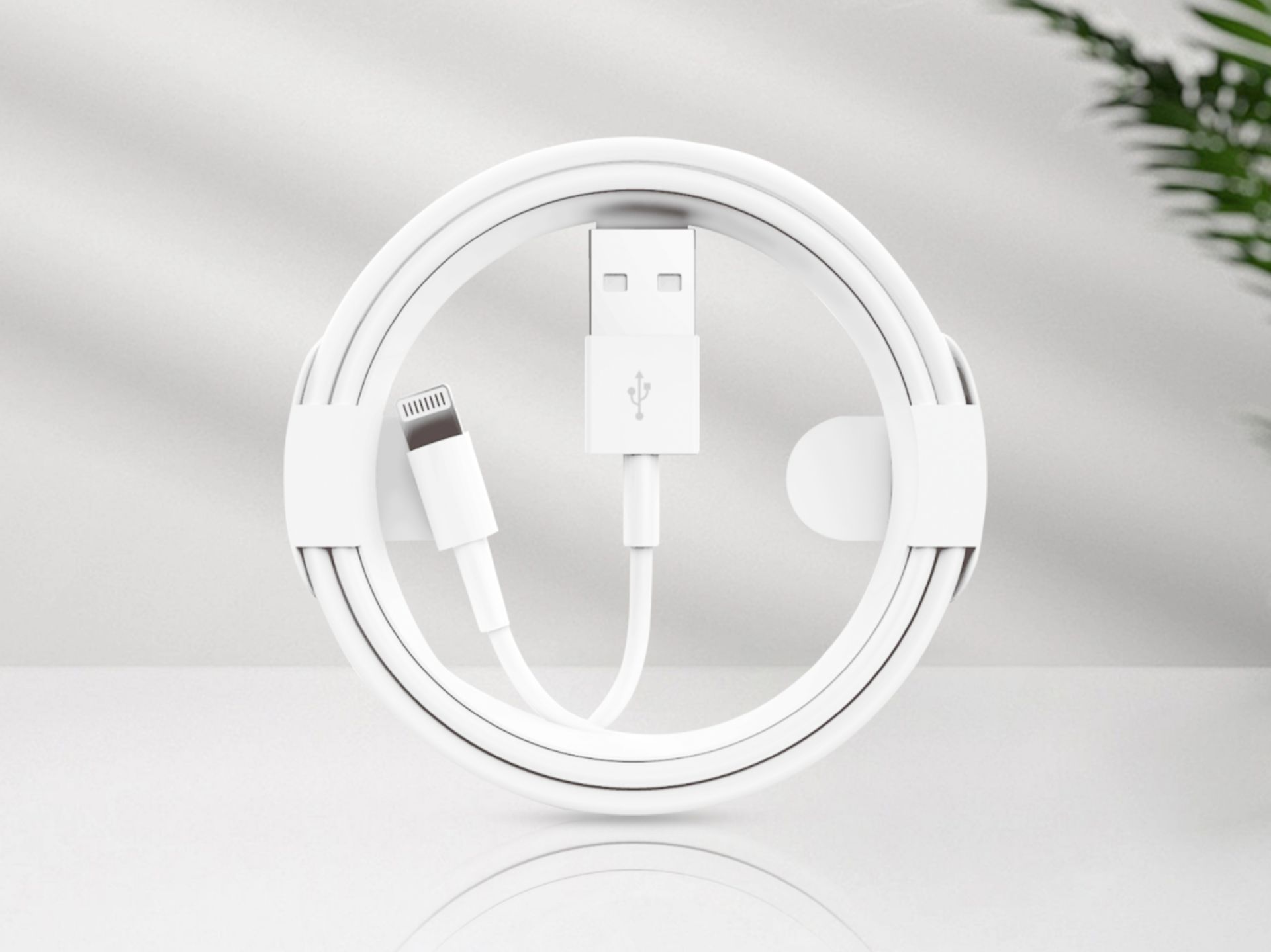 Data Cable Ip7/8/X/12 2.4A 1M White