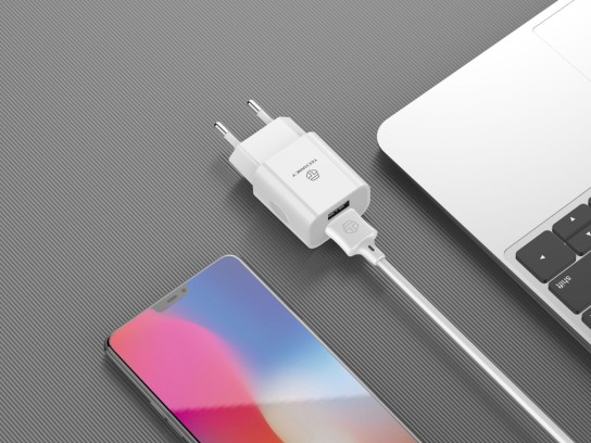 Wall Charger With Dual Usb Ports And Lightning Cable Iphone 1M 2.4A White