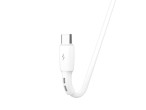 Techancy Cble Usb C Court 30cm, Chargement Rapide 2.4A Blanc