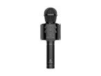 Techancy Wireless Microphone KZ1561, portable karaoke, Bluetooth speaker, FM radio and voice changer