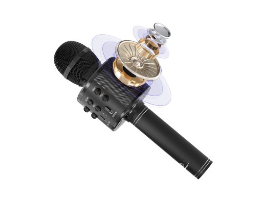 Techancy Wireless Microphone KZ1561, tragbares Karaoke, Bluetooth-Lautsprecher, FM-Radio und Stimmve Techancy Wireless Microphone KZ1561, tragbares Karaoke, Bluetooth-Lautsprecher, FM-Radio und Stimmve