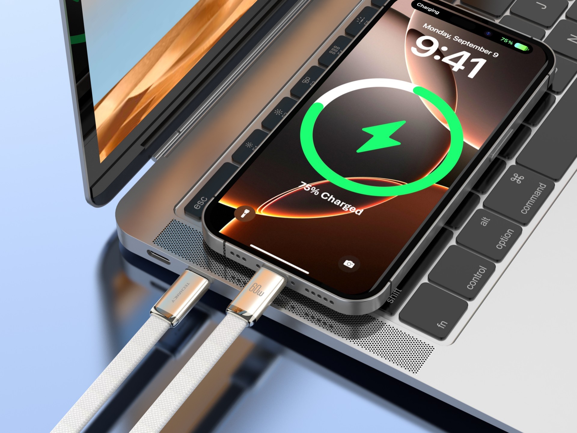 Techancy USB-C to USB-C Data Cable 60W TB1804 Fast Charging PD Locked Durable for Mobile Phones and Techancy USB-C to USB-C Data Cable 60W TB1804 Fast Charging PD Locked Durable for Mobile Phones and